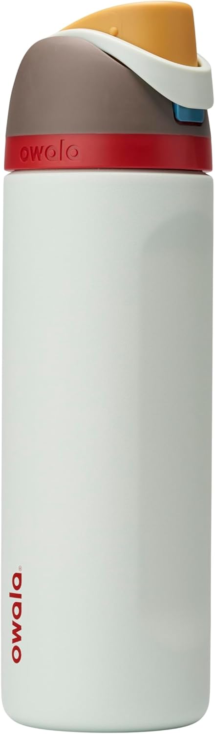 Owala FreeSip Insulated Stainless Steel Water Bottle with Straw for Sports, Travel, and School BPA-Free Sports Water Bottle, 32 oz, Boneyard (Pack of 6)