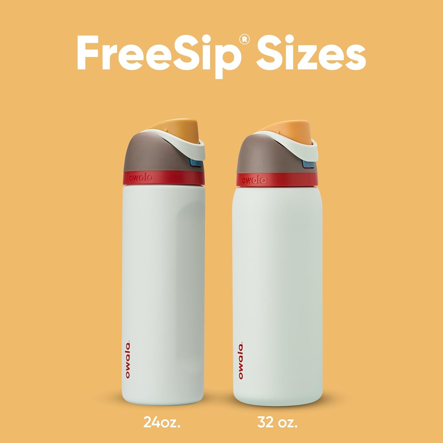 Owala FreeSip Insulated Stainless Steel Water Bottle with Straw for Sports, Travel, and School BPA-Free Sports Water Bottle, 32 oz, Boneyard (Pack of 6)