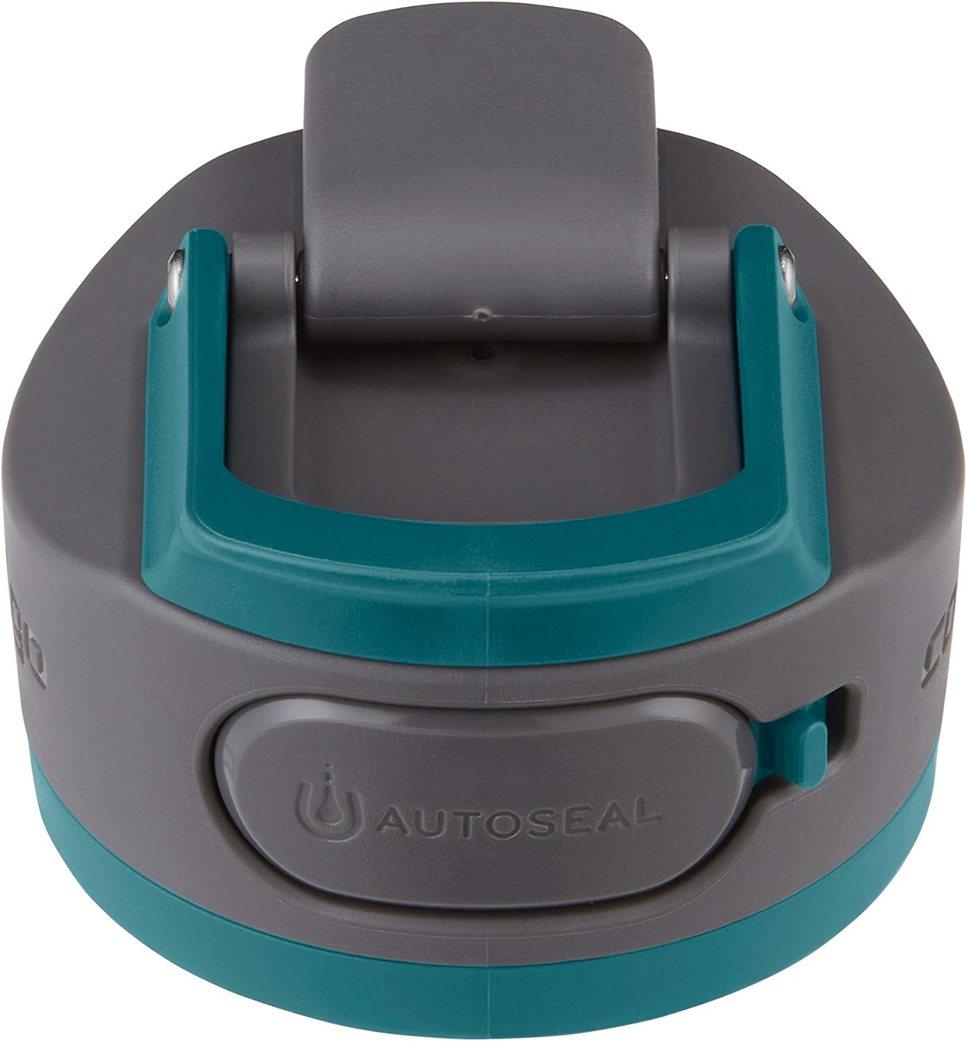 Contigo AUTOSEAL Cortland 24oz Water Bottle BPA-Free Plastic Spill Leak-Proof Lid and Carry Handle Dishwasher Safe Spirulina